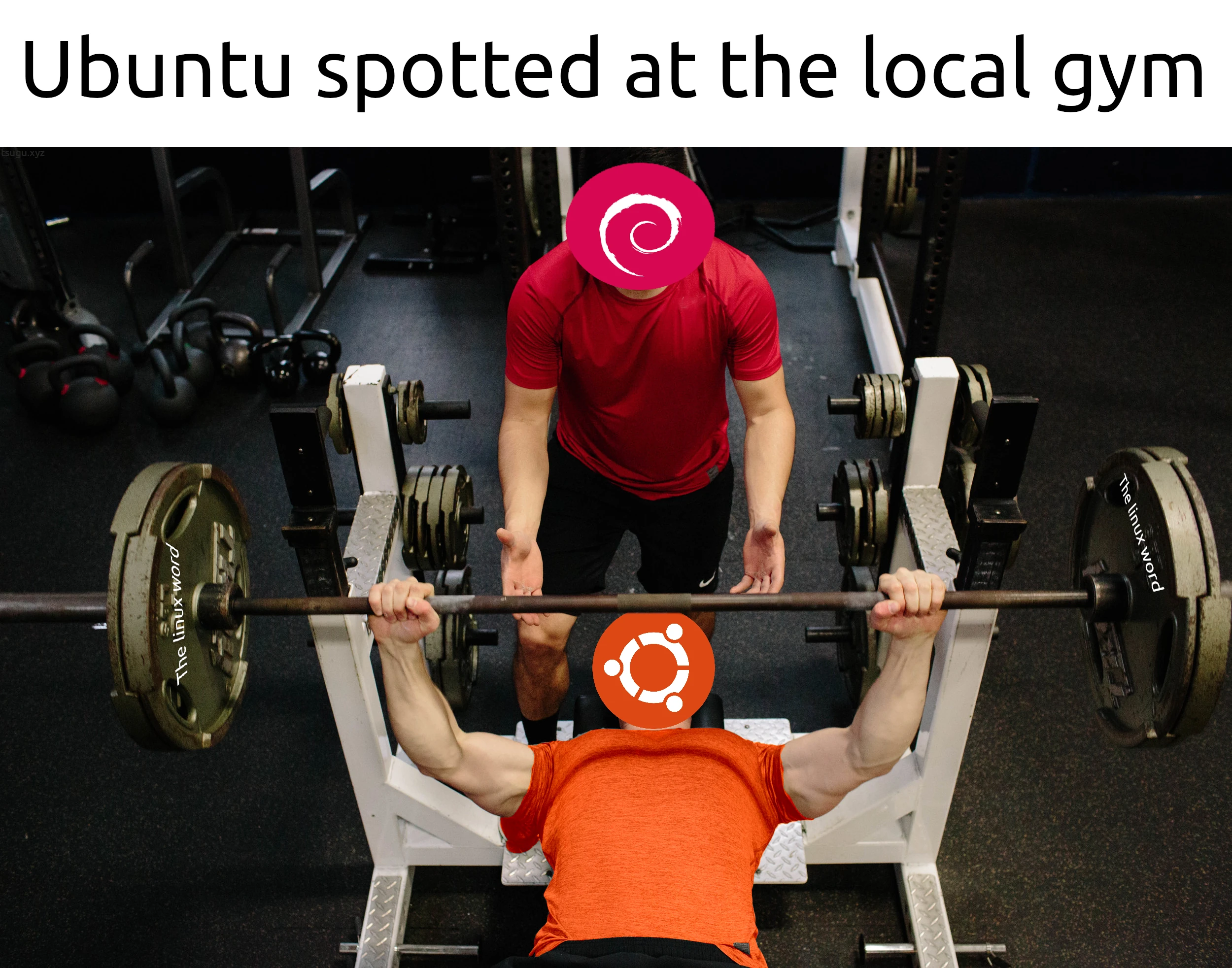 An image of a guy lifting weights with another man spotting him. The one lifting has a Ubuntu logo instead of his head, the spotter has a debian logo instead of his head. 