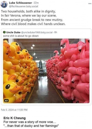 [Image of an aisle of inflatable ducks across from an aisle of inflatable flamingos] Luke Schleusener (@lfschleusener.bsky.social): Two households, both alike in dignity, in fair Verona, where we lay our scene, from ancient grudge break to new mutiny, where civil blood makes civil hands unclean. [Eric K. Cheung] For never was a story of more wo... "than that of ducky and her flamingo."