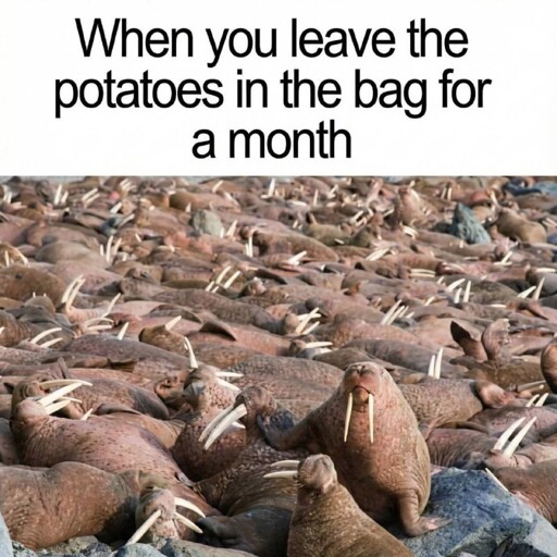 Potatoes