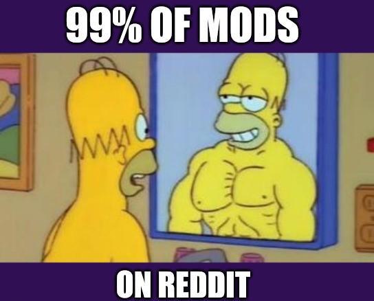 Simpsons Homer looks at mirror and sees a muscular version of himself with the caption on top "99% of Mods" and bottom "on Reddit"