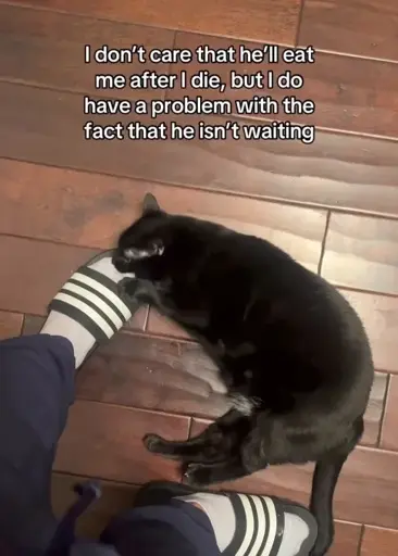 Picture of a cat biting someone in the foot: "I don't care that he'll eat me after I die, but I have a problem with the fact that he isn't waiting" —_ 2